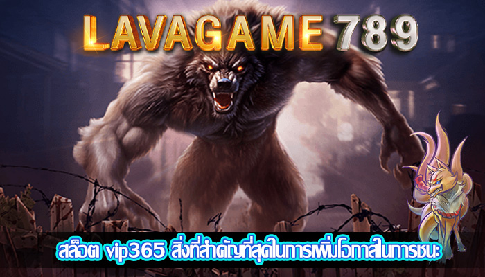 สล็อต vip365 สิ่งที่สำคัญที่สุดในการเพิ่มโอกาสในการชนะ